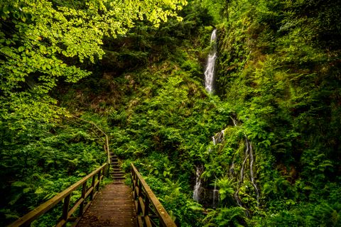 Griesbacher Wasserfall