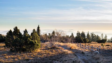 Wandern im Nationalpark