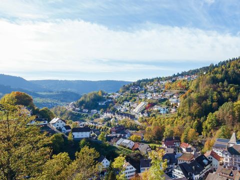 Blick auf Bad Peterstal-Griesbach