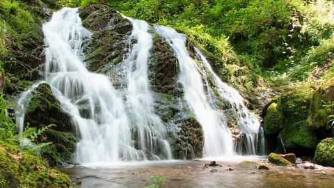 Tosende Wasserfälle in Bad Peterstal-Griesbach