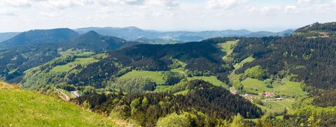 Premiumwanderort Bad Peterstal-Griesbach