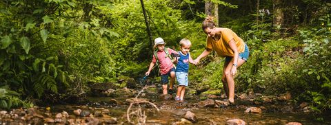 Familienurlaub in Bad Peterstal-Griesbach