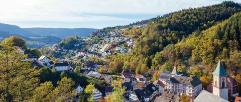 Bad Peterstal-Griesbach