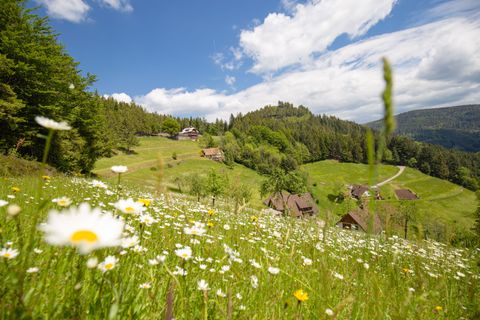 Wiesensteig