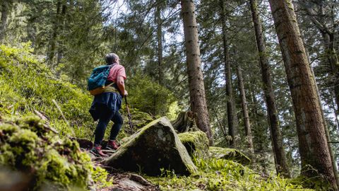 Wandern auf dem Teufelskanzelsteig in Bad Petertal-Griesbach